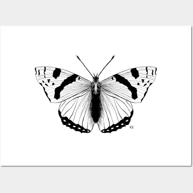 Not so real Butterfly III black-and-white Wall Art by VeraAlmeida